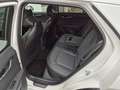 Kia Niro 1.6 Hybrid PHEV (171 PS) DCT6 Spirit Relax AHK Blanc - thumbnail 10