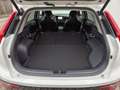 Kia Niro 1.6 Hybrid PHEV (171 PS) DCT6 Spirit Relax AHK Blanc - thumbnail 15