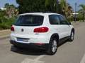 Volkswagen Tiguan 2.0TDI BMT Cross 4x2 110 Blanco - thumbnail 6