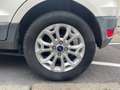 Ford EcoSport 1.5 TDCi 95 Titanium / REGULATEUR DE VITESSE / CLI Белый - thumbnail 10