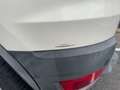 Ford EcoSport 1.5 TDCi 95 Titanium / REGULATEUR DE VITESSE / CLI Blanc - thumbnail 41