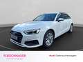 Audi A4 Avant 40 TDI quattro HUD Navi Memory Sitze LED ACC Blanc - thumbnail 1
