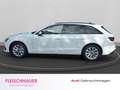 Audi A4 Avant 40 TDI quattro HUD Navi Memory Sitze LED ACC Blanc - thumbnail 3