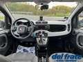 Fiat Panda III 1.2 8v 69Cv Cross Plus Grigio - thumbnail 11