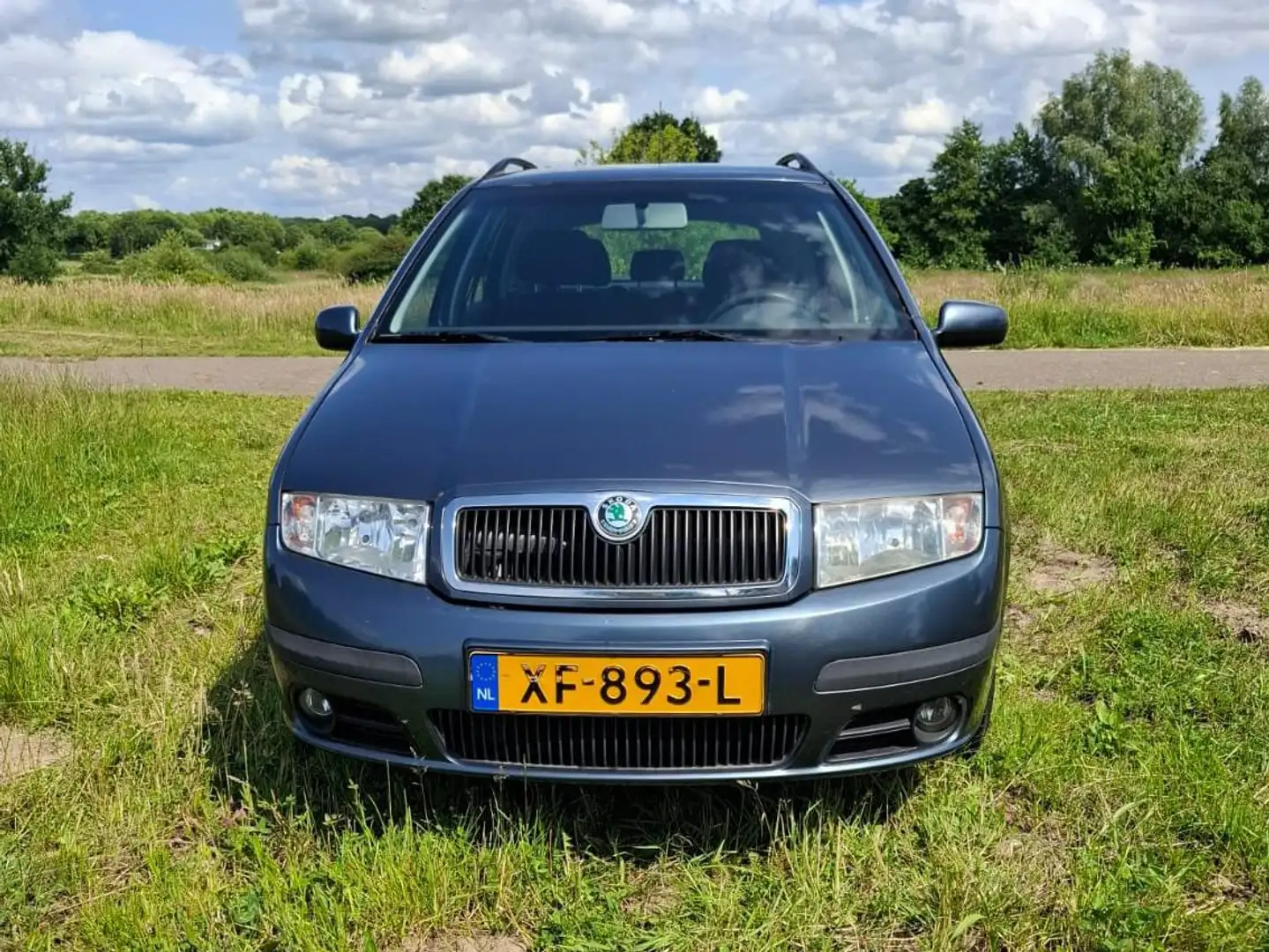 Skoda Fabia Fabia 1.4-16V Elegance Azul - 1