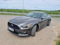 Ford Mustang Mustang 2.3 Eco Boost Aut. Šedá - thumbnail 8