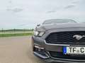 Ford Mustang Mustang 2.3 Eco Boost Aut. Grau - thumbnail 10