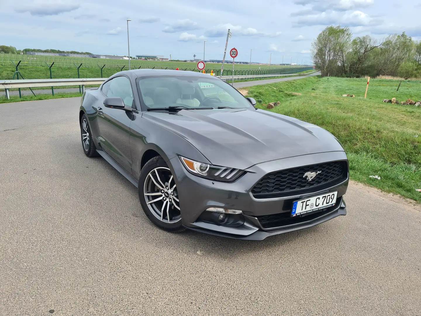 Ford Mustang Mustang 2.3 Eco Boost Aut. Gris - 1