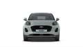 Ford Puma 1.0 EcoBoost Hybrid Titanium | Te bestellen | Nieu - thumbnail 2