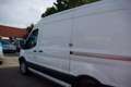 Ford Transit Kasten 350 L2 Trend ** neuer Motor ** Weiß - thumbnail 6