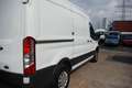Ford Transit Kasten 350 L2 Trend ** neuer Motor ** Weiß - thumbnail 5