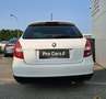 Skoda Fabia 1.2 TSI MONTE CARLO, RUCKFAHRKAMERA - thumbnail 6