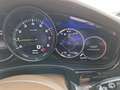 Porsche Panamera 4 E-Hybrid Weiß - thumbnail 25