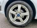 Ford Fiesta Fiesta VI 2013 1.2 COME NUOVA NEOPATENTATI E6 Blanc - thumbnail 8