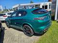 Alfa Romeo Stelvio Quadrifoglio*Akra*Pano*Verde*Assist*117.900€LP! Vert - thumbnail 3
