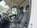 Fiat Ducato 35 L-H2 LWB MJet JTD Maxi Белый - thumbnail 5