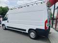 Fiat Ducato 35 L-H2 LWB MJet JTD Maxi Белый - thumbnail 3