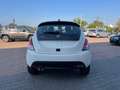 Lancia Ypsilon Ypsilon 1.2 Ecochic Gpl 69cv Blanco - thumbnail 16