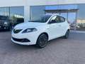 Lancia Ypsilon Ypsilon 1.2 Ecochic Gpl 69cv Wit - thumbnail 20