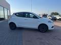 Lancia Ypsilon Ypsilon 1.2 Ecochic Gpl 69cv Wit - thumbnail 18