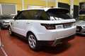 Land Rover Range Rover Sport 3.0SDV6 SE Aut. 249 Blanc - thumbnail 6