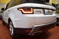 Land Rover Range Rover Sport 3.0SDV6 SE Aut. 249 Blanc - thumbnail 18