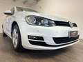Volkswagen Golf Golf VII 5p 1.6 tdi Trendline 90cv NEOPATENTATI Grigio - thumbnail 8