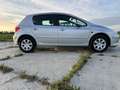 Peugeot 307 1.6-16V Premium Szürke - thumbnail 4