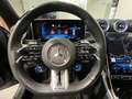 Mercedes-Benz C 43 AMG AMG Night/AHK/Kamera/LED Grau - thumbnail 13