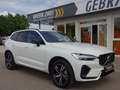 Volvo XC60 T6 R Design Plug-In AHK ACC Pano Google Weiß - thumbnail 9