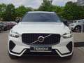 Volvo XC60 T6 R Design Plug-In AHK ACC Pano Google Weiß - thumbnail 10
