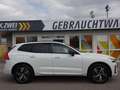 Volvo XC60 T6 R Design Plug-In AHK ACC Pano Google Weiß - thumbnail 8