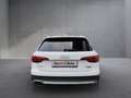 Audi A4 allroad quattro 2.0 TDI Weiß - thumbnail 5
