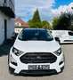 Ford EcoSport Active Weiß - thumbnail 11