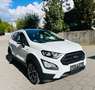 Ford EcoSport Active Weiß - thumbnail 3
