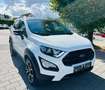 Ford EcoSport Active Weiß - thumbnail 12