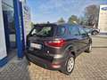 Ford EcoSport 1.0 ecoboost Titanium 100cv my19 Grigio - thumbnail 3