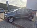 Ford EcoSport 1.0 ecoboost Titanium 100cv my19 Grigio - thumbnail 5
