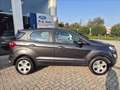 Ford EcoSport 1.0 ecoboost Titanium 100cv my19 Grigio - thumbnail 2