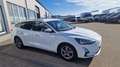 Ford Focus 2,0 EcoBlue SCR Traveller Vignale aut. Weiß - thumbnail 5