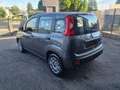 Fiat Panda 1.0 FireFly S&S Hybrid Gris - thumbnail 5