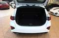 Kia Ceed / cee'd GT Carplay+LED+Navi+RFK+ Weiß - thumbnail 19