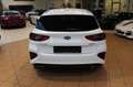 Kia Ceed / cee'd GT Carplay+LED+Navi+RFK+ Weiß - thumbnail 4