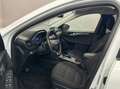Ford Kuga 2,5 PHEV  Titanium,AHK,eKlappe,Panodach Weiß - thumbnail 3