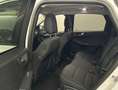 Ford Kuga 2,5 PHEV  Titanium,AHK,eKlappe,Panodach Weiß - thumbnail 4