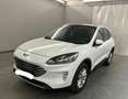 Ford Kuga 2,5 PHEV  Titanium,AHK,eKlappe,Panodach Weiß - thumbnail 1