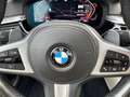 BMW 520 Berlina Automático de 4 Puertas Blauw - thumbnail 38