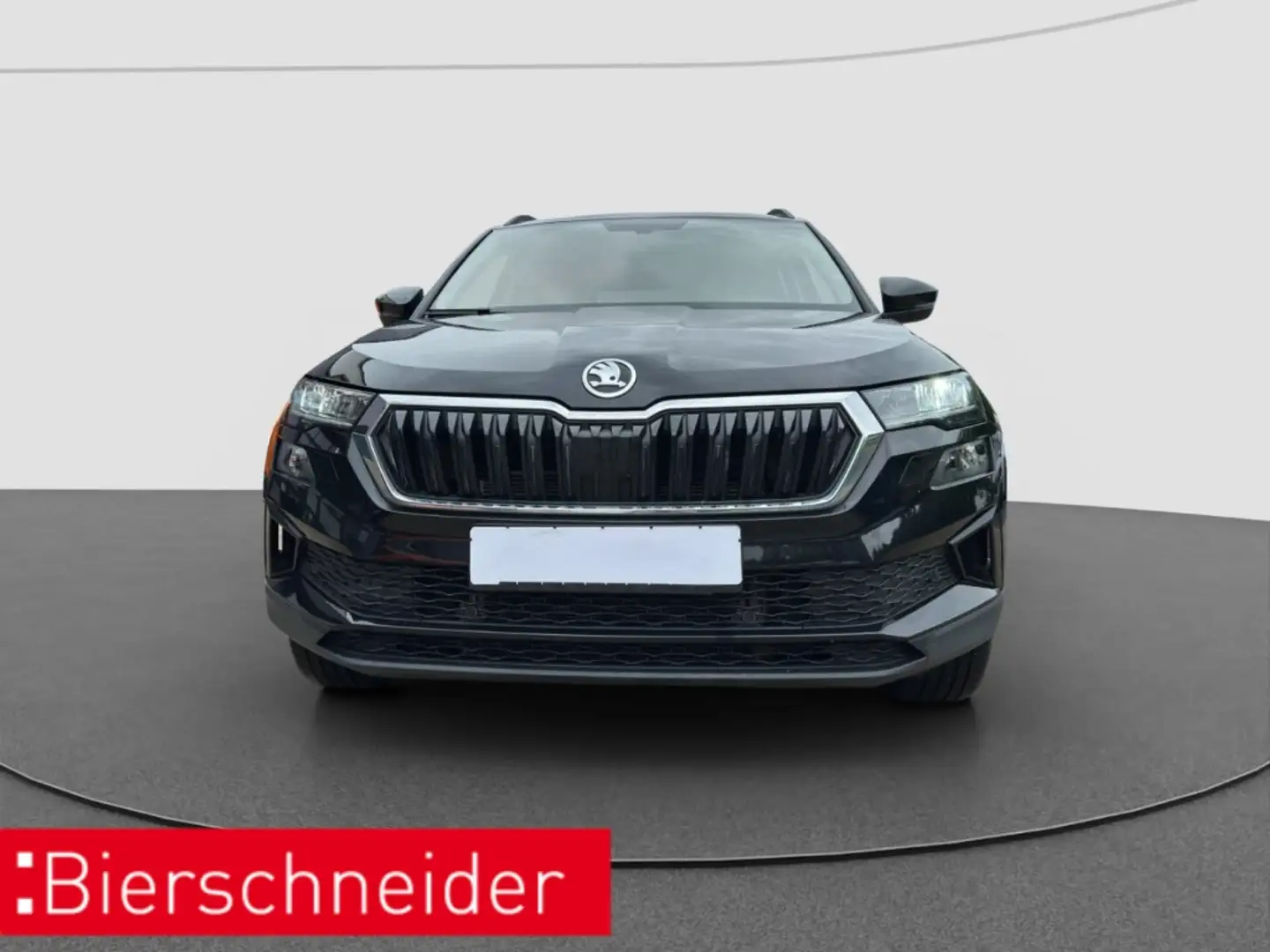 Skoda Karoq 2.0 TDI DSG 4x4 Tour AHK REAR VIEW LED NAVI Schwarz - 2