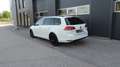 Volkswagen Golf Variant Golf Variant Comfortline 1,6 TDI / MFL / SH / EPH Weiß - thumbnail 4