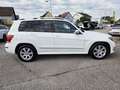 Mercedes-Benz GLK 350 CDI 4MATIC A-Edition Plus Aut. Weiß - thumbnail 6